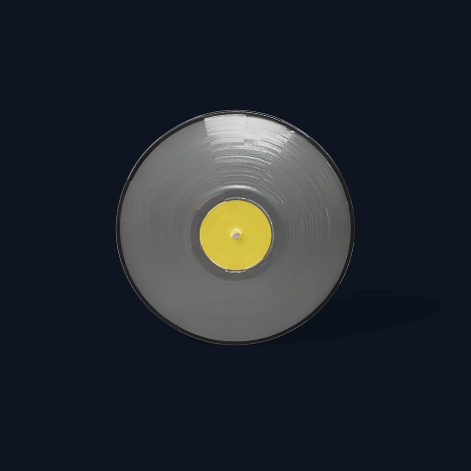 Vinyl Record Model Pack with PBR Textures